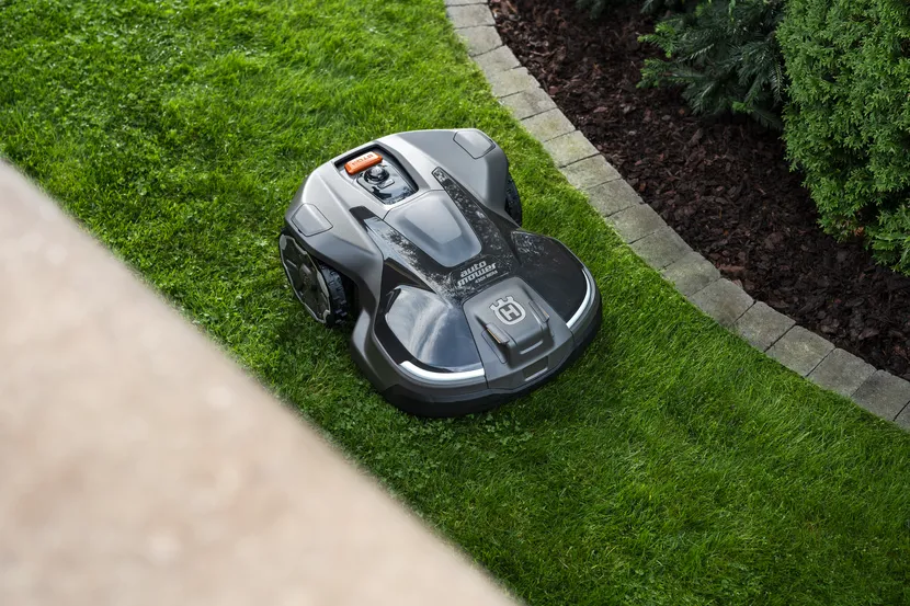 an-236865.webp (105 KB)